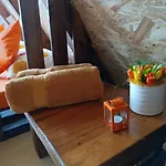 Bosnian Pyramid Glamping Kemp Visoko