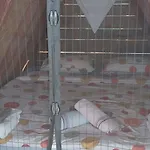 Bosnian Pyramid Glamping Camping